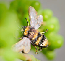 Load image into Gallery viewer, Trovelore Brooches, hand made nature inspired needlework